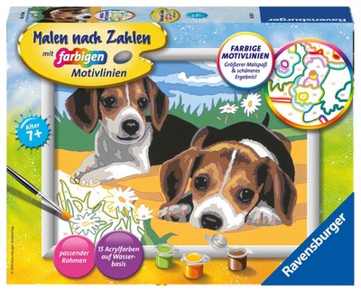 Jack Russel Welpen. Malen nach Zahlen Serie D | Deutsch | Spiel | 28329 | 2016