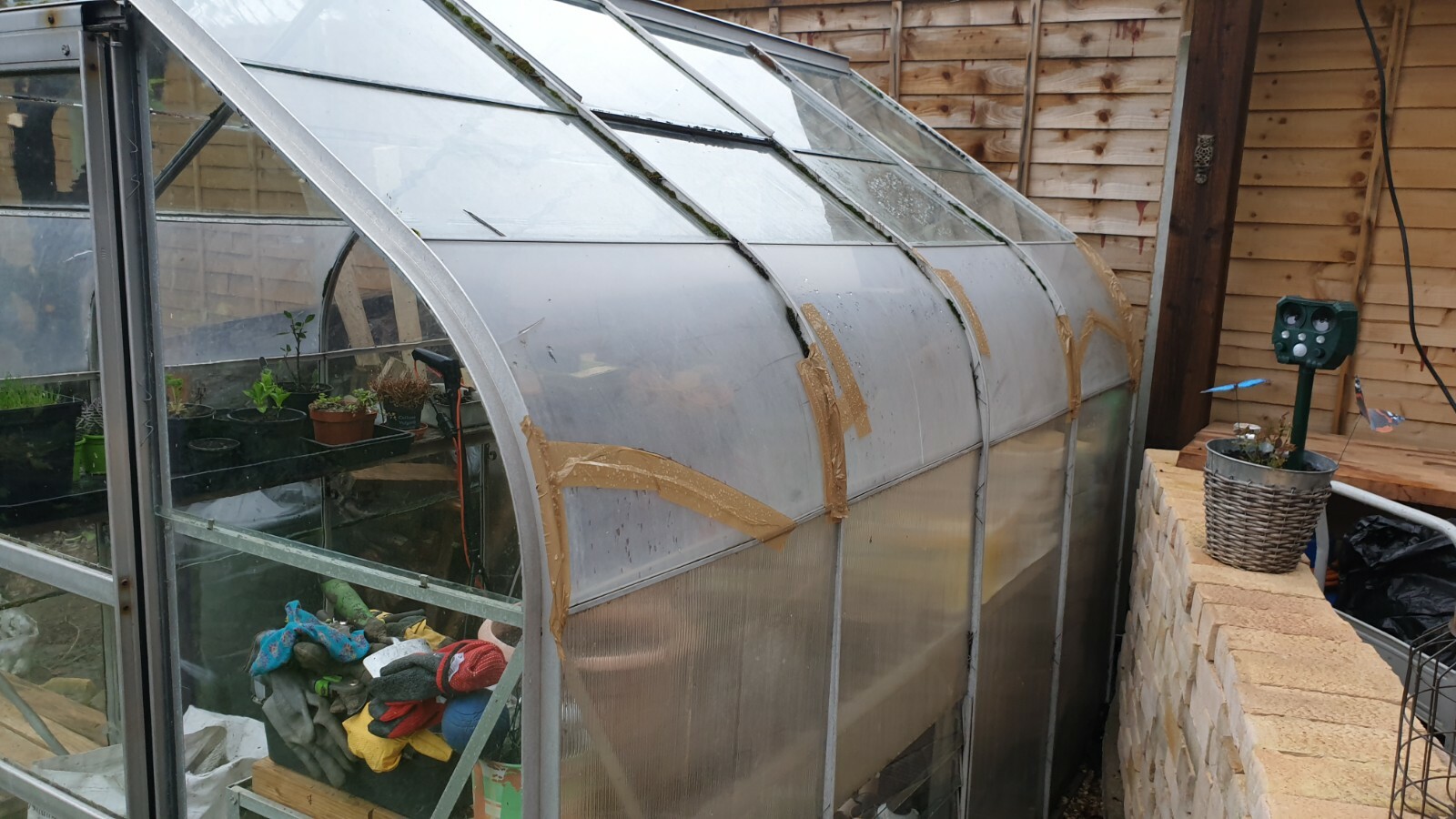Replacement Greenhouse glasshouse panel x8 Halls leanto curved 610mmx