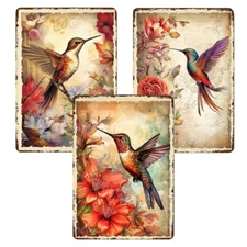 Hummingbird Magnets Set of 3 Vintage Art Prints Bird Lover Gift Sublimated 3x4"