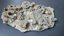 Kalkkonkretionen, Stromatolithe, 390 g g, 18 x 11 x 2 cm