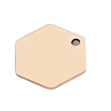 Size Custom Engraved Pet ID Tag with Name, Phone Number, and Address large