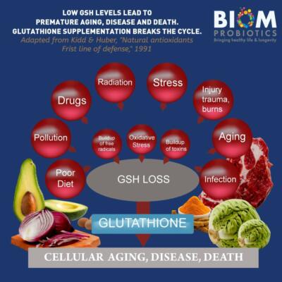 taking glutathione and coffee Tree of Life Medical main image 1