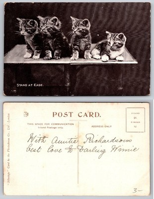 Early 1900s Silvotype Postcard ''STAND AT EASE'' Four Tabby Kittens Photochrom