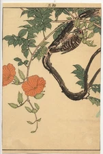 UW»Estampe japonaise originale Keinen 1891 - I695 D76