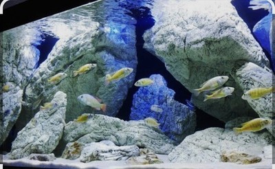 Back to Nature Module Kunstfelsen Aquarium Deko 