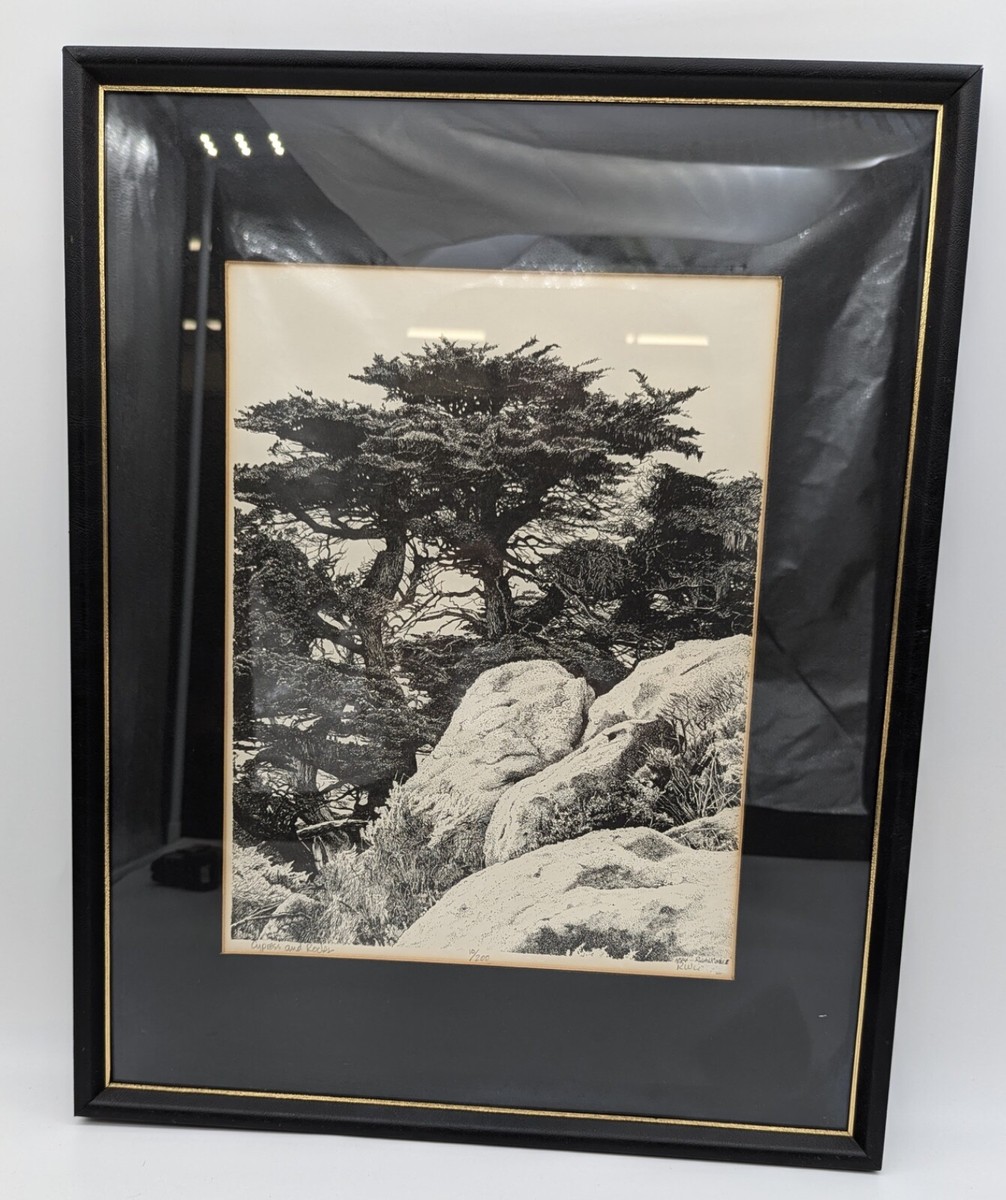 1974 Ralph W Cooke III Cypress and Rocks Carmel CA Signed Numbered