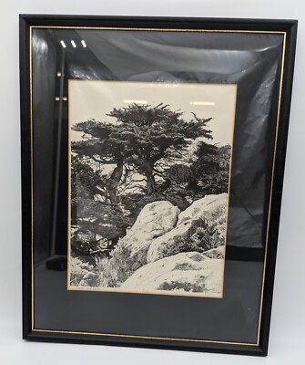 1974 Ralph W Cooke III Cypress and Rocks Carmel CA Signed Numbered Etching Print
