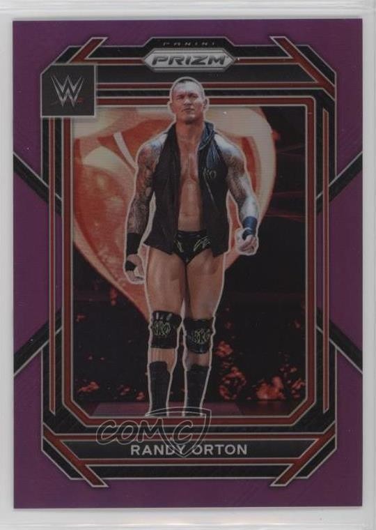 2023 Panini Prizm WWE Purple Prizm 129/149 Randy Orton #200 0nr3