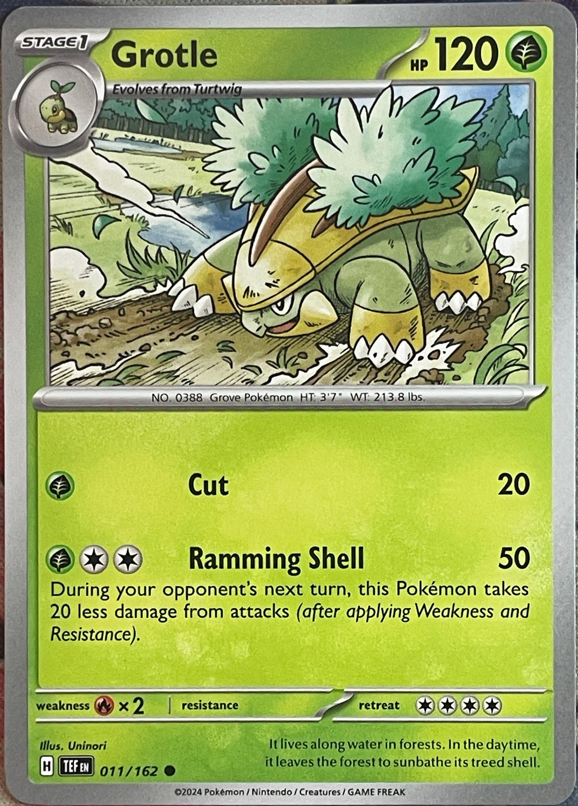 Grotle - 011/162 - Temporal Forces Pokemon 2024