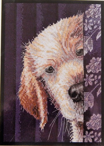 Bucilla Counted Cross Stitch Kit I DIDN'T DO IT Yellow Lab Dog Naughty Puppy - Picture 5 of 6