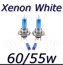 Ampoule Fiat SEDICI