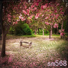 Spring/Garden 10'x10'Computer/Digital Scenic Photo Background Backdrop SM568B881