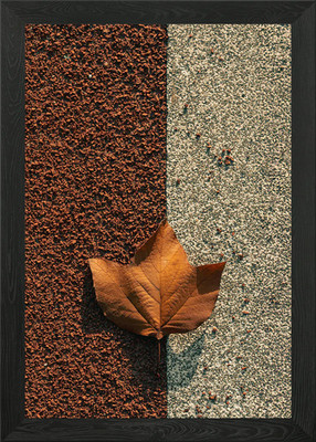 Herbstblatt auf strukturierter Oberfläche gerahmtes Wandbild Poster Leinwanddruck Bild
