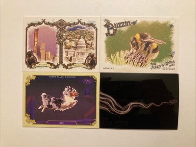 2024 Topps Allen & Ginter X-Ray'd - Buzzin - Sister Sister - Dogs - You Pick