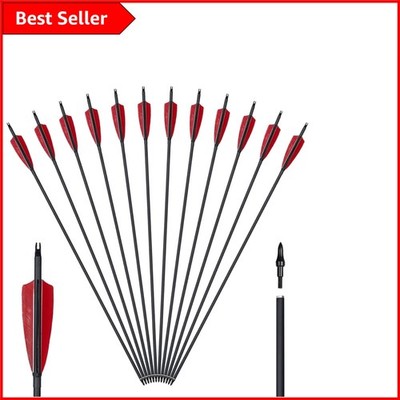 Robuste 12 Stück Jagdpfeile - 30 Zoll Fiberglas mit Truthahnfeder Befiederung