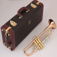 Free ship LT180S-37 gold color/silver color/phosphor copper trumpet with case