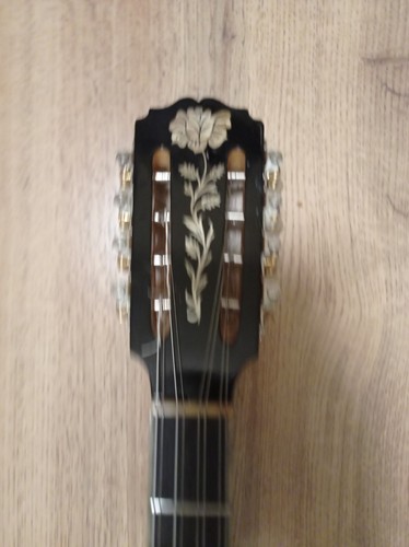 GREEK BOUZOUKI PRO & HARDCASE &, Pickup & 300 Greek Backing Track & Pdf Scores - Picture 6 of 22