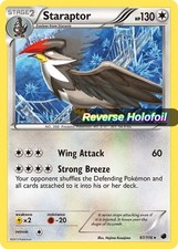 Staraptor 97/116 R Reverse Holofoil Pokemon TCG Plasma Freeze LP