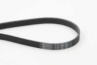 Continental Ctam Keilrippenriemen FüR Alfa Romeo Audi Daihatsu Ford Seat VW