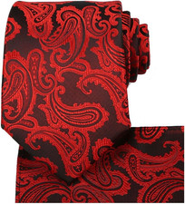 Mens Paisley Tie And Pocket Square Necktie Sets
