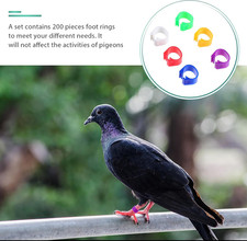 200Pcs Pigeon Foot Rings Lightweight Bird Leg Bands for Easy Identification o...