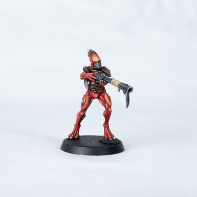 Warhammer 40K Kroot Carnivore | Single Miniature | Tabletop + Standard | T'au