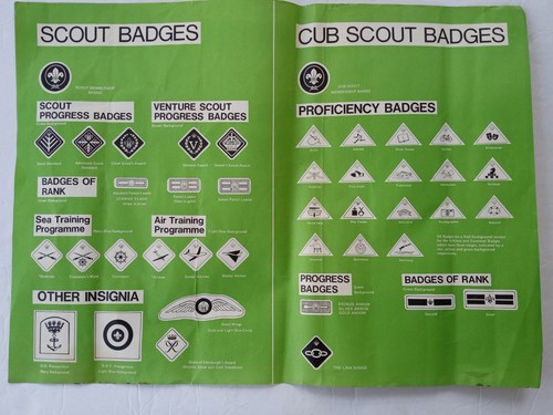 Vintage Boy Scouts of America SCOUT & CUB SCOUT INSIGNIA BADGES Poster c.1960