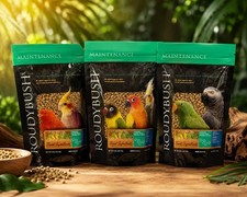 Roudybush Daily Maintenance Premium Bird Food Natural Vitamins High Quality