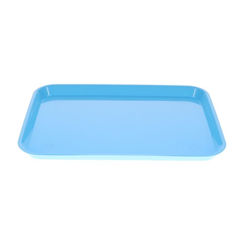 House Brand Odontoiatria 108147 HSB Set-Up Vassoio Piatto #B Ritter Baby Blu Plastica - Foto 1 di 5