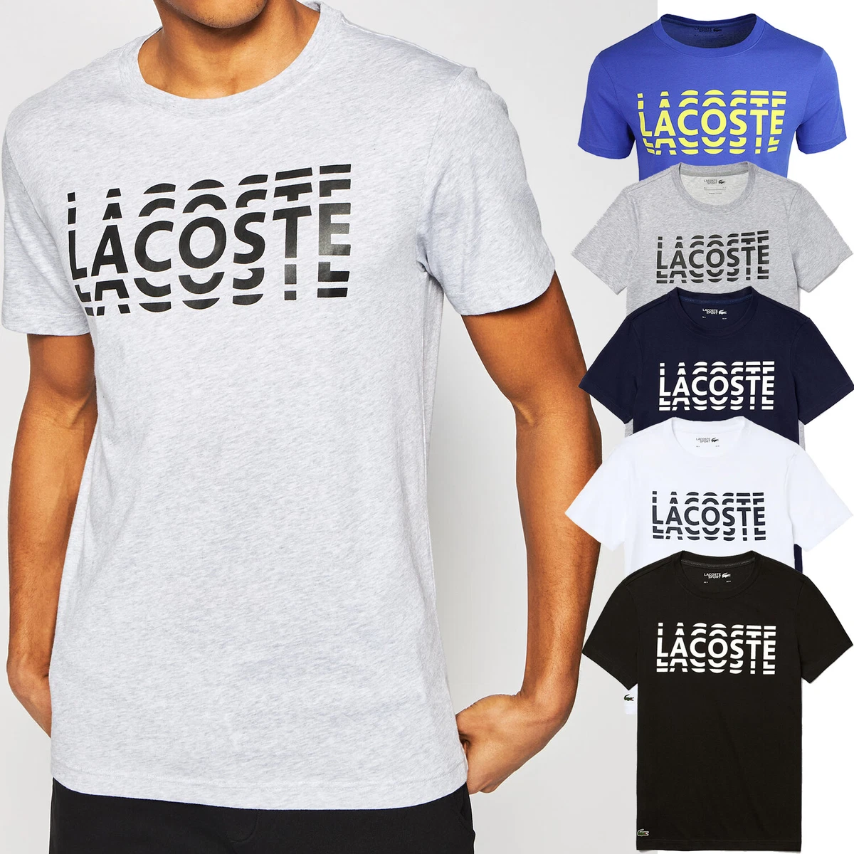 Cabecear Frenesí lengua Men Lacoste T Shirt Short Sleeve Graphic Lacoste Ultra Dry Logo Tee Cotton  NEW | eBay