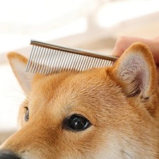 Pet Dog Grooming Combs, 2 Pack Metal Dog Comb with Stainless Steel Rou