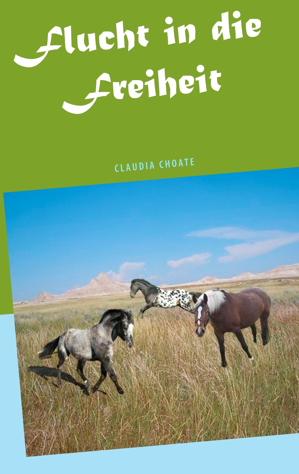 Thumbnail - Claudia Choate / Flucht In Die Freiheit9783750415706