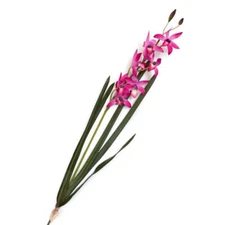 Factory Direct Craft Poly Silk Fuchsia Orchid Floral Stem | 29 Inches Long