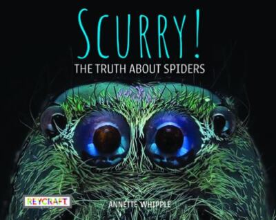 Scurry! the Truth about Spiders by Annette Whipple (2022, Trade Paperback)