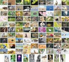 100 Tierpostkarten 100 verschiedenen Motiven Tiere Fotokarten