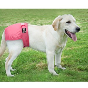 female dog menstrual pads