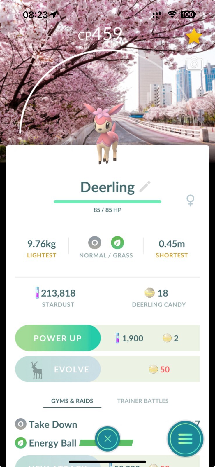  Pokémon Shiny Deerling background Spring Blossom - TRADE 20k - Read Description