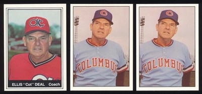 Choose Your Minor League Player Card Lot, Last Name Begins with D, Free Ship  D3