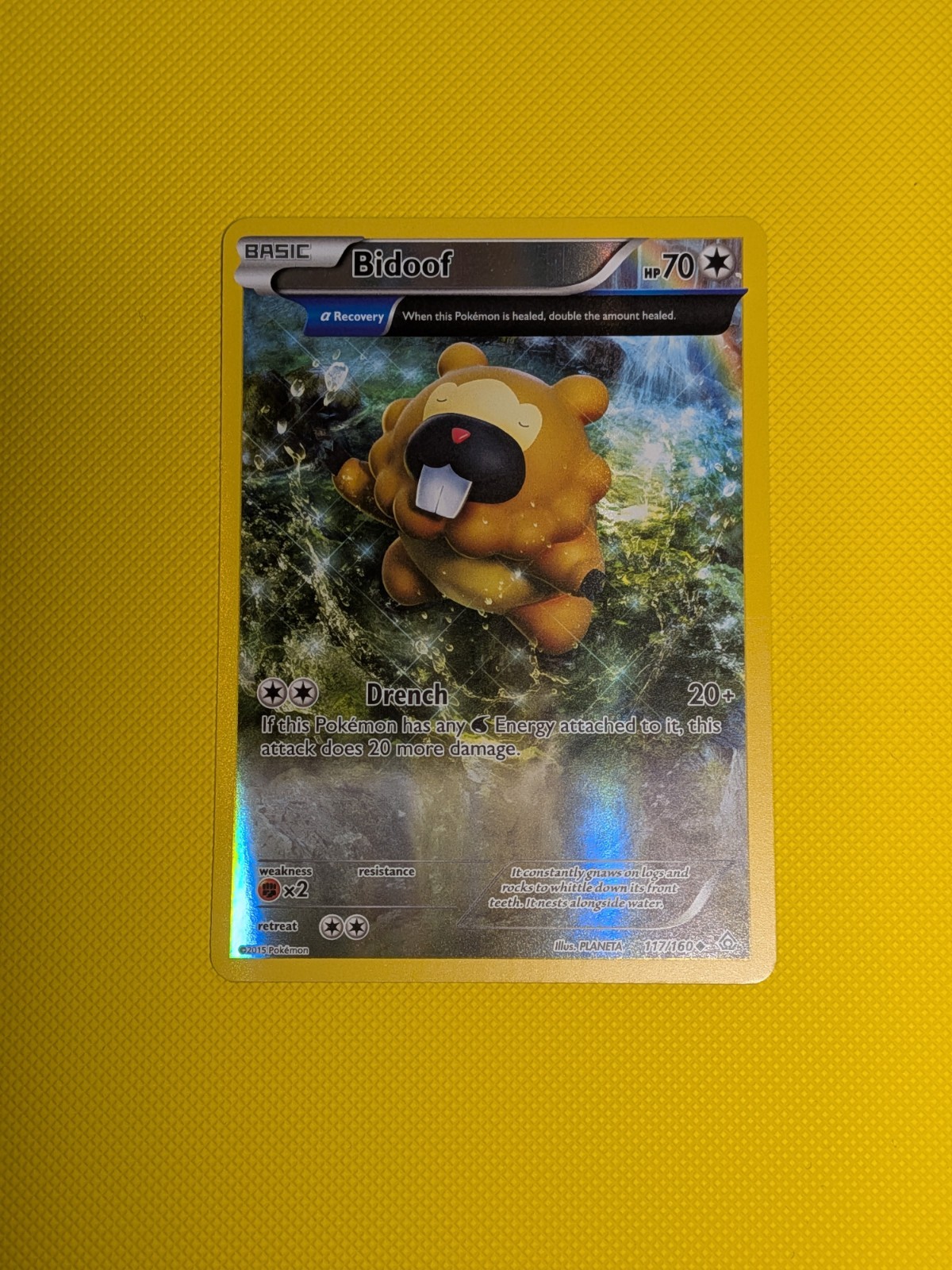 Bidoof 117/160 - XY Primal Clash - Reverse Holo - Pokemon Card - NM/Mint