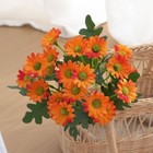 Bild 10 von 22