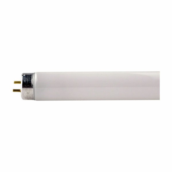 GE 18w Watt 2ft Colour 840 4000k Cool White T8 Polylux Fluorescent Tube