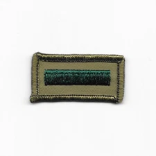 Assistant Patrol Leader 1969-1971 APLB-1-6-2 MERROWED Boy Scouts of America BSA