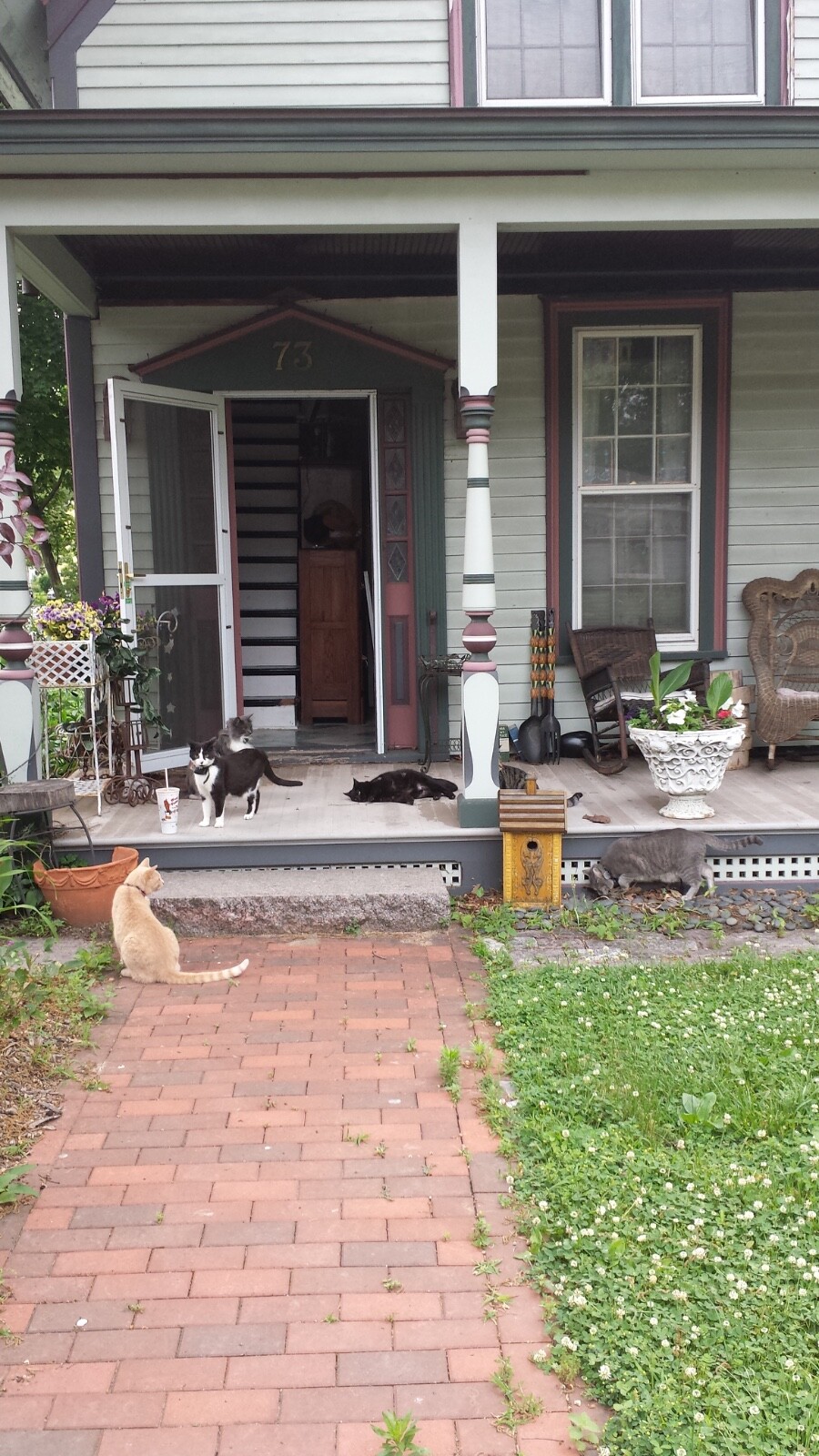 Picture 10 of 15