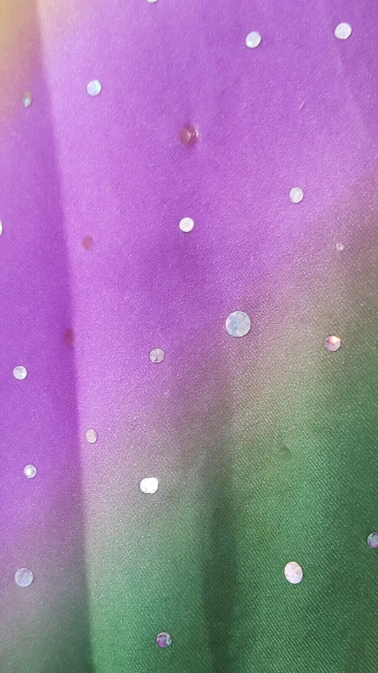 Disfraz de Baile Pequeño Púrpura Verde Flor Competidor Piedra Artística Niñas Foto 4 de 4