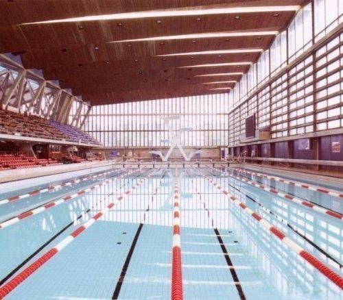 7829599 Audio Cd Good Shoes - No Hope No Future