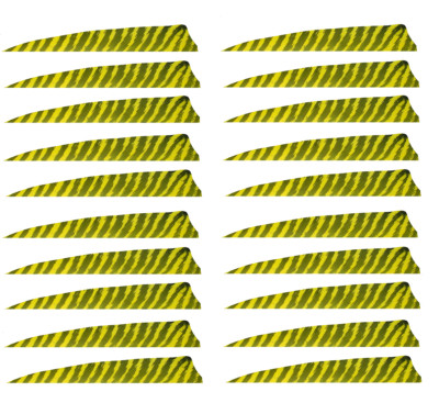 20 Stück Gateway Federn Shield 4'' Barred Gelb Pfeilfedern Naturfedern 