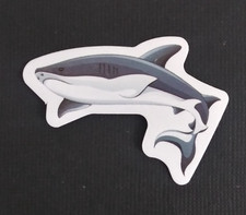 Fun Playful Colorful Shark Sticker 1.38" x 2" AM 
