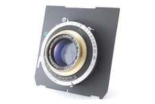 GOLDEN RIM [NEAR MINT] Dagor Goerz Dagor 8 1/4" [215mm] f/6.8 Lens From Japan