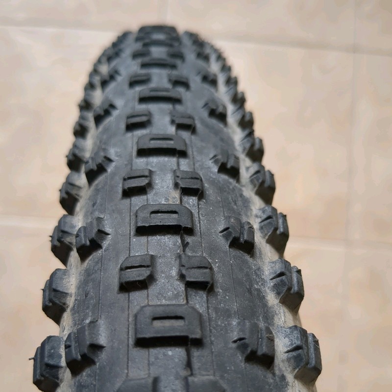 WTB Ranger Tyre 29x2.25 (55-622)