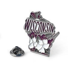 Wisconsin Enamel Lapel Pin   Collectible Stat...